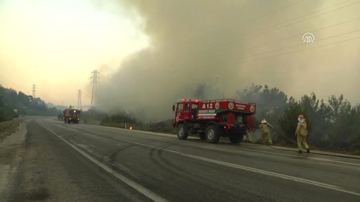 İzmir'de makilik alanda yangın