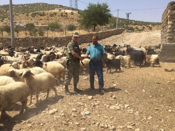 Hırsız çobanlar köyden çıkarken yakalandı