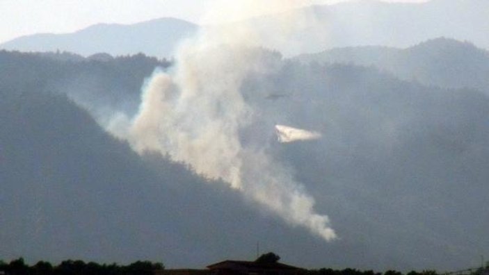 Hatay'daki yangında 5 hektarlık orman kül oldu