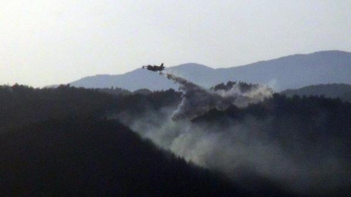 Hatay'daki yangında 5 hektarlık orman kül oldu