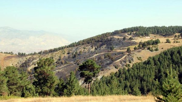 Oltu'da 10 hektar daha ormanlık alan yandı