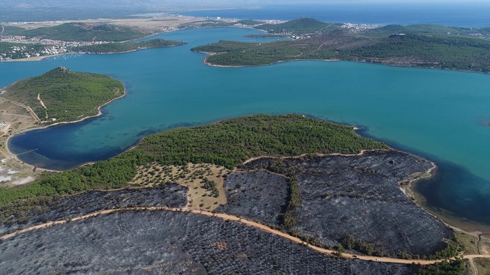 Cennet Koyu bir yıl sonra tekrar yemyeşil olacak