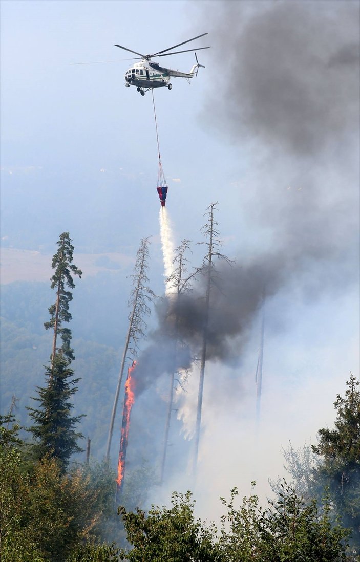 Türkiye'den Gürcistan'a yangınla mücadele desteği