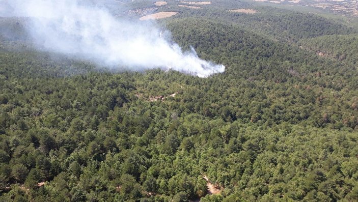 Çanakkale'de orman yangını