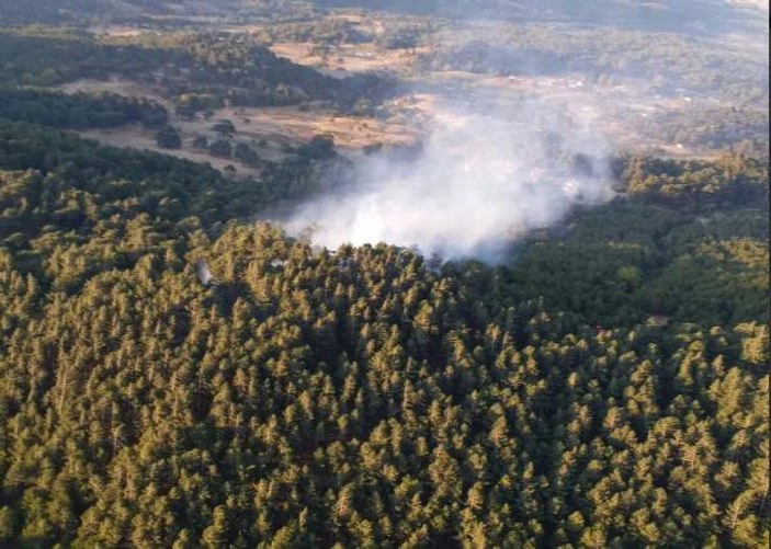 Edremit’te orman yangını