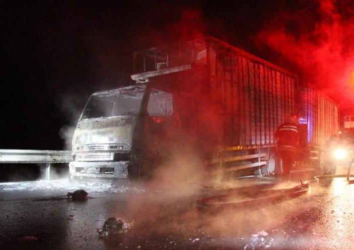 Bolu'da yanan kamyondaki tavuklar telef oldu