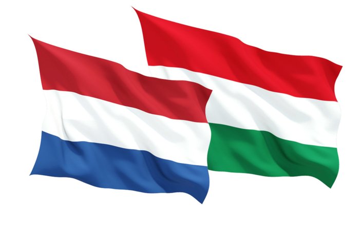 Macaristan Hollanda'dan özür bekliyor