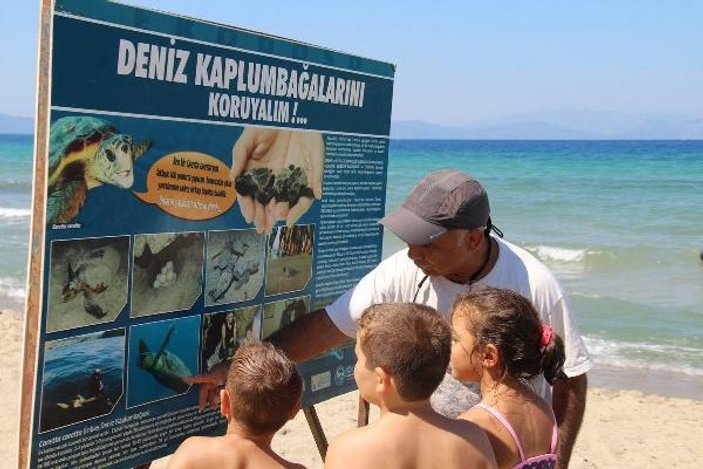 Kuşadası'nda 43 yavru carreta caretta denizle buluştu