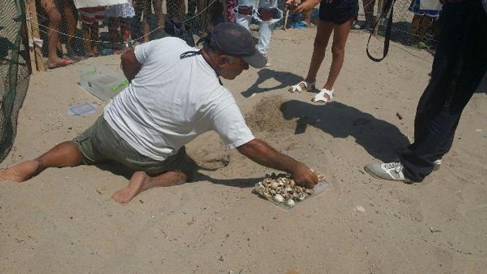 Kuşadası'nda 43 yavru carreta caretta denizle buluştu