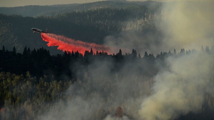 California'da orman yangınları etkili oldu