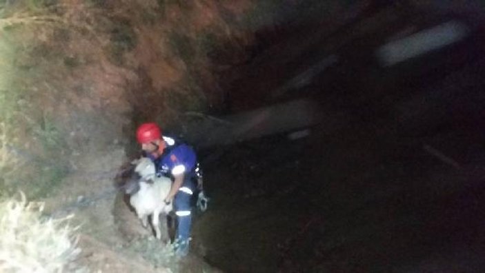 Koyununu kurtarmak isteyen yaşlı adam boğuldu