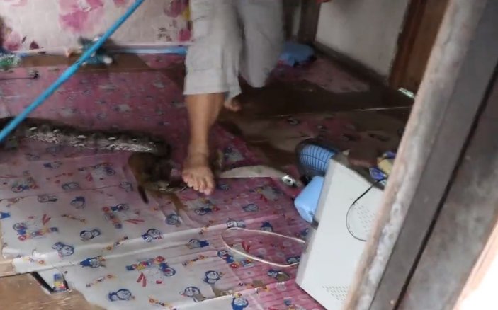 Evdeki yılanı çıkartmaya gelen adam ayağından ısırıldı