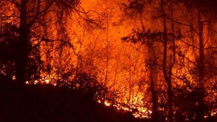 Bayram boyunca 142 yangına müdahale edildi