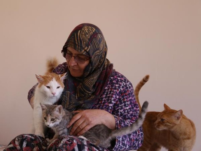59 yaşındaki hayvansever 100 kedinin bakımını yapıyor