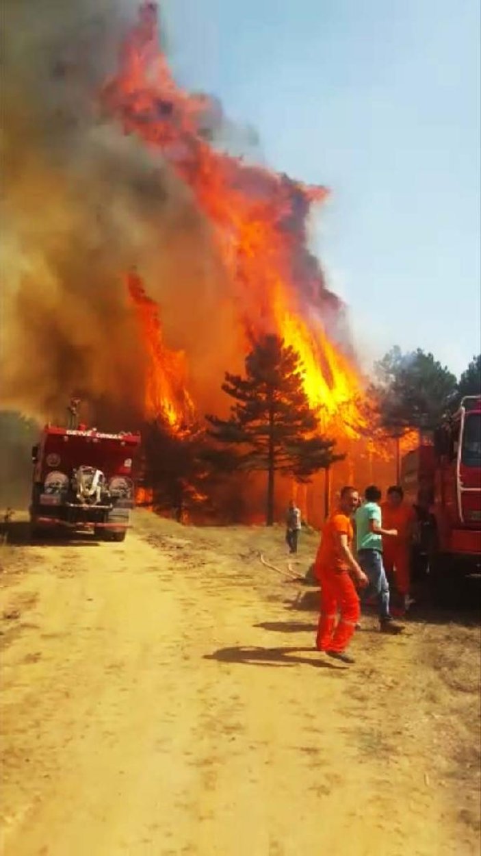 Sakarya'da 10 hektarlık ormanlık alan yandı