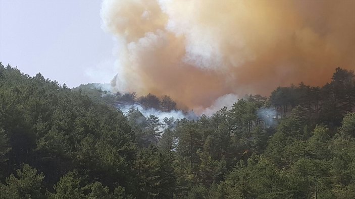 Kütahya'da ikinci orman yangını