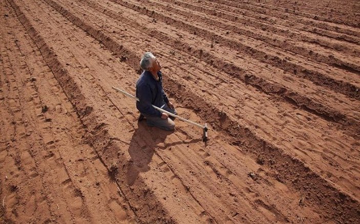 BM: Dünyada tarım arazilerinin üçte biri aşındı