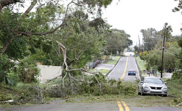 ABD'de yola düşen ağaca çarpan şanssız sürücü