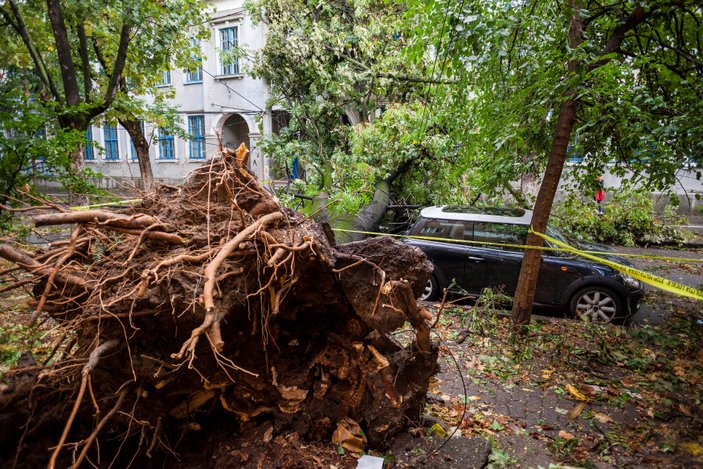 Romanya'nın batısında şiddetli rüzgar: 8 ölü