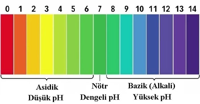 Suyun pH değeri nasıl ölçülür