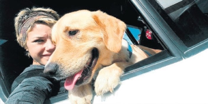 Otobüsün bagajına konulan köpek havasızlıktan öldü