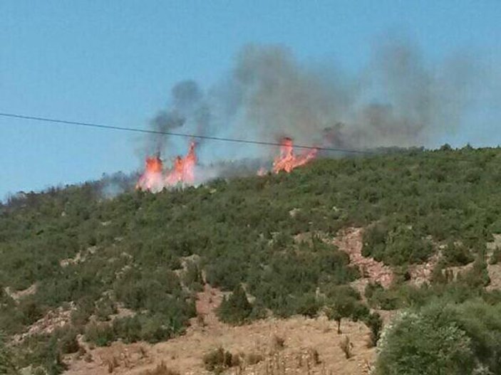 Isparta'da orman yangını etkili oldu