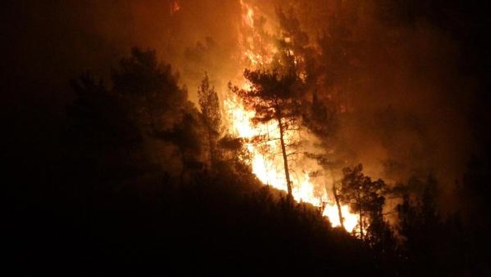 Karabük'teki orman yangını devam ediyor
