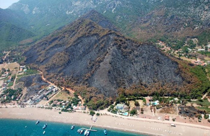 Antalya'da yanan ormanlar yeşillendiriliyor