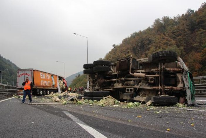 TEM'de TIR ve kamyon çarpıştı