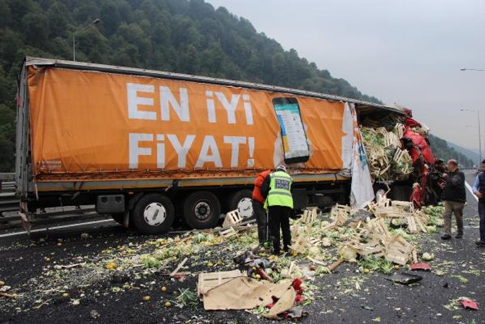 TEM'de TIR ve kamyon çarpıştı