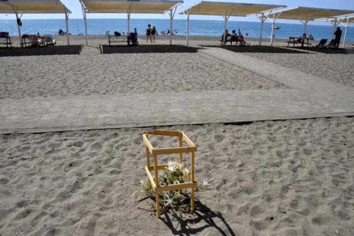 Likya kum zambakları yok olma eşiğinde