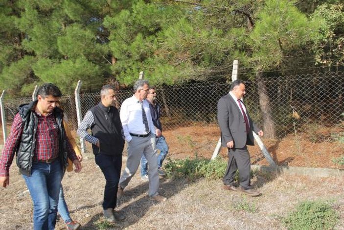 Uludağ Üniversitesi geyiklerine köpekler saldırdı