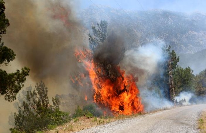 Orman yangınlarında 9 bin 226 hektar alan zarar gördü