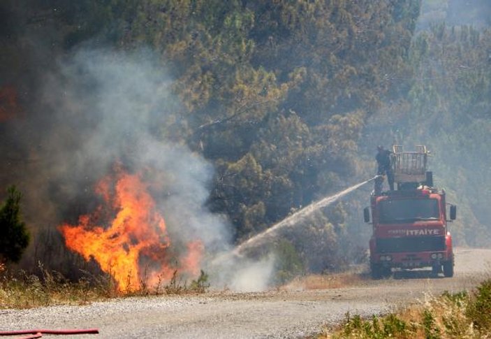 Orman yangınlarında 9 bin 226 hektar alan zarar gördü