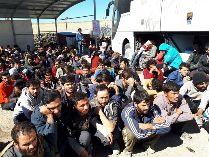 Sivas'ta yolcu otobüsünde 181 kaçak yakalandı