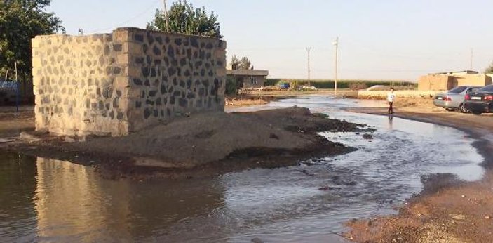 Suruç'taki taban suyu tedirginliği