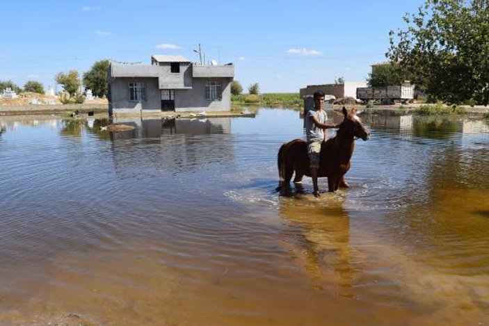 Suruç'taki taban suyu tedirginliği