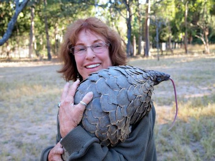 Pangolin nedir