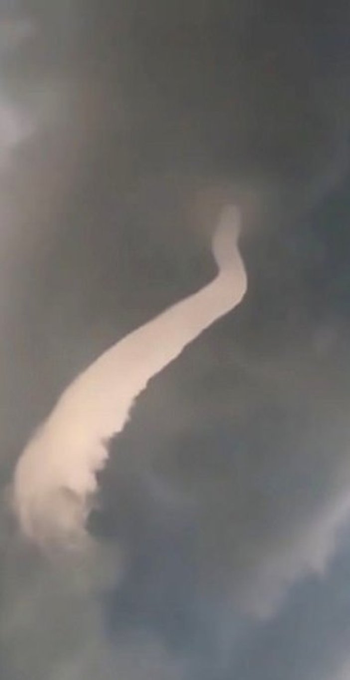 Japonya'da yılan bulut hayrete düşürdü