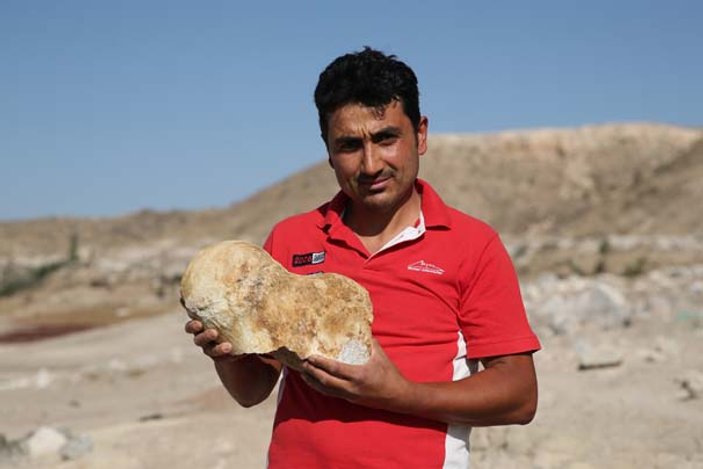 Kayseri'de çoban 6 milyon yıllık fosil buldu