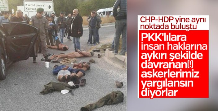 CHP ve HDP'lilerin görmek istemediği gözaltı fotoğrafı