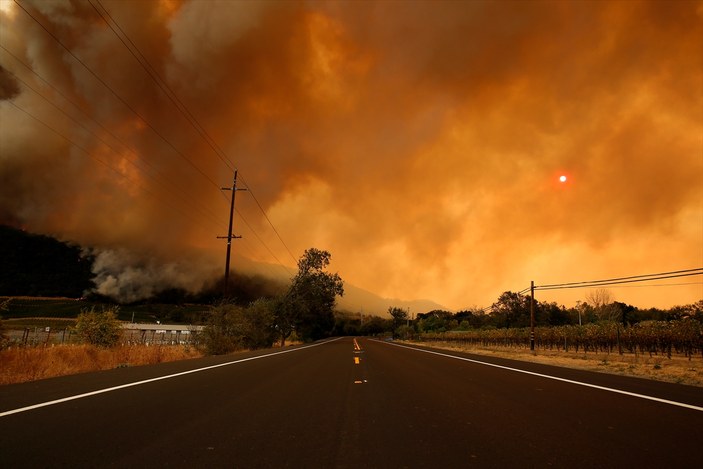 Kaliforniya'daki orman yangınlarında son durum