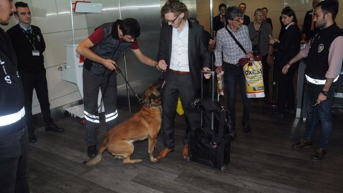 Avusturyalı yolcuların üzeri köpekle arandı