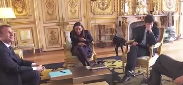 Emmanuel Macron'un köpeği şömineye işedi