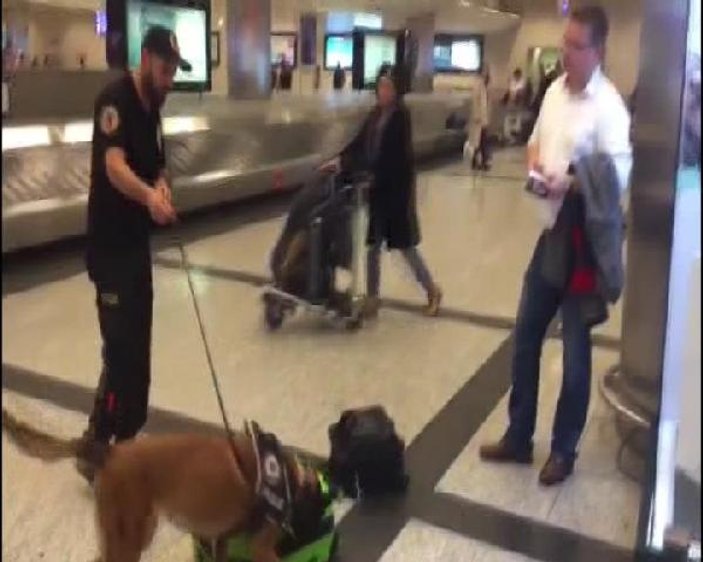 Almanya'dan gelen yolculara köpekli arama