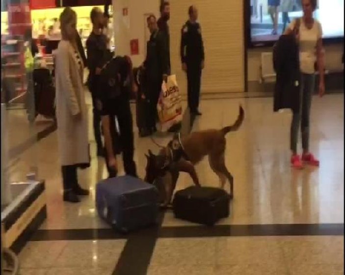 Almanya'dan gelen yolculara köpekli arama