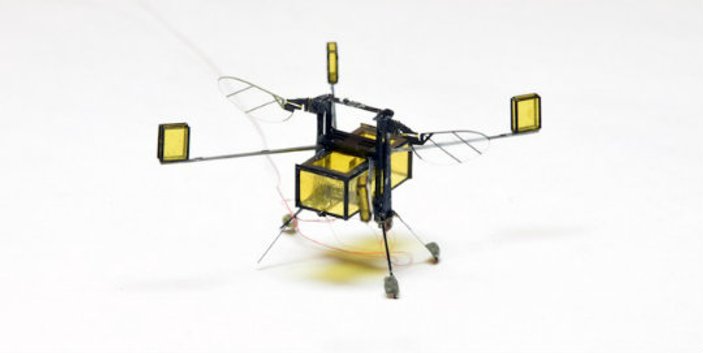 Uçabilen ve yüzebilen mini robot