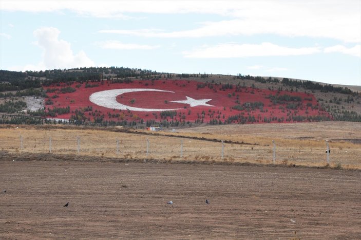 20 bin ton taşla Türk bayrağı yapıldı