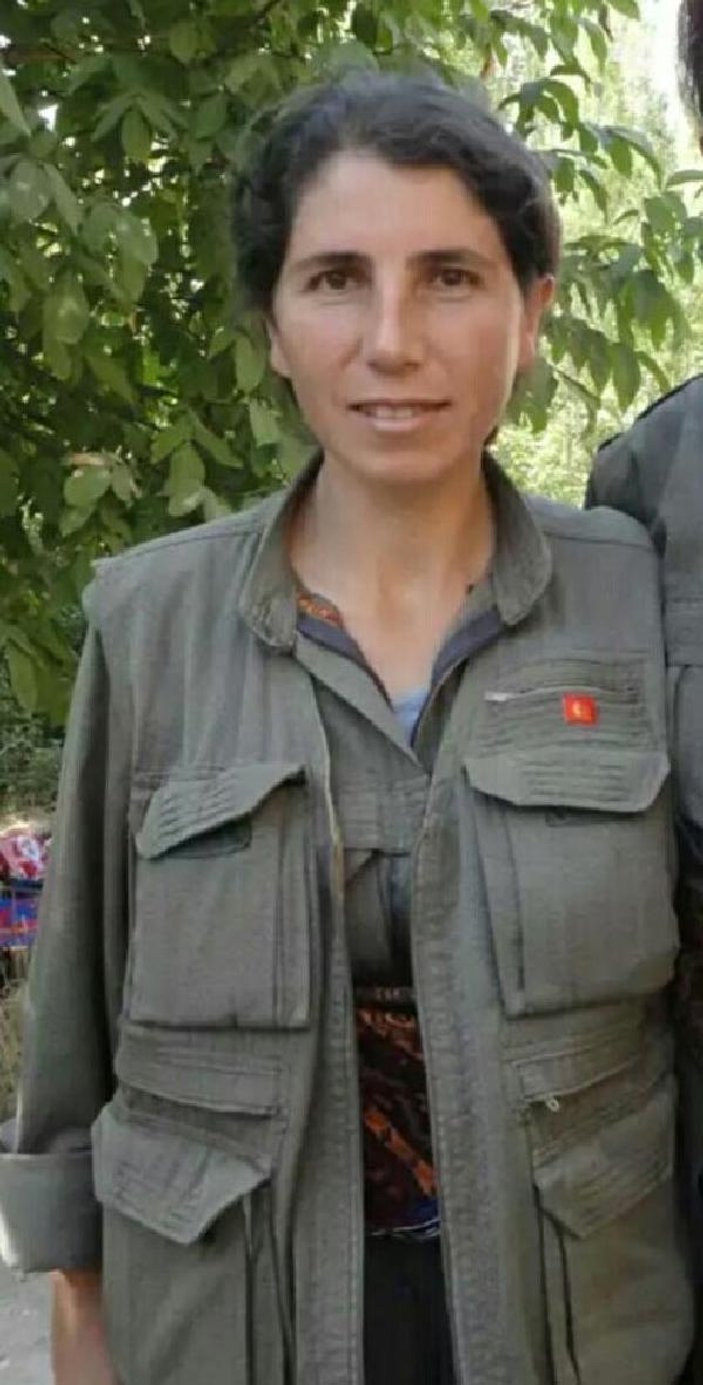 Bingöl'de öldürülen sözde PKK yöneticisi