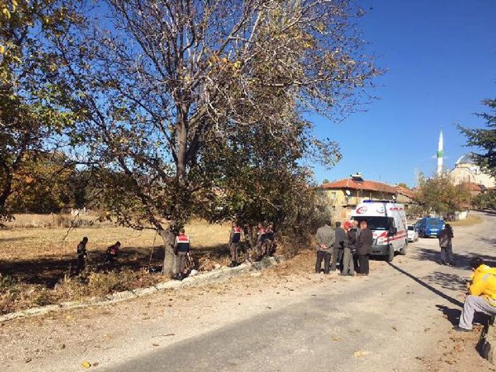 Yozgat'ta bir adam ceviz ağacından düşüp öldü